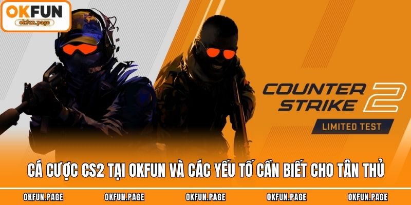 Cá Cược CS2 Tại OKFUN Và Các Yếu Tố Cần Biết Cho Tân Thủ