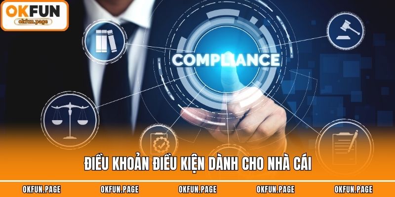 Điều khoản điều kiện dành cho nhà cái